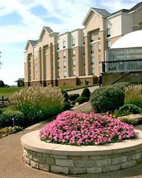 Hampton &